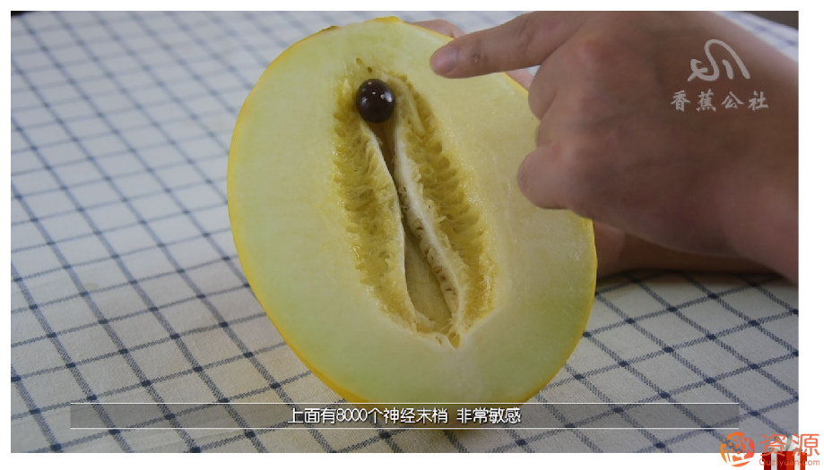舌尖上的gaochao，男對女口愛_資源網站插圖7