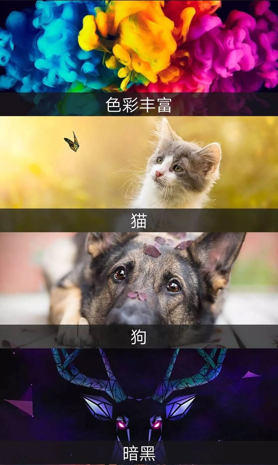 這個App竟然解鎖了18+VIP，請低調使用！插圖4
