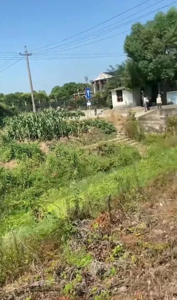 請問這是同一個人嗎？插圖31