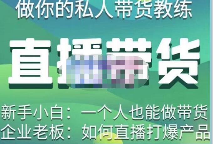 硬核傳媒?直播帶貨（私人教練），實操實戰教學百度網盤插圖