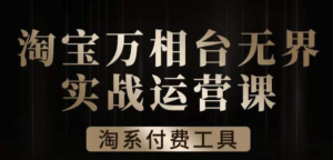 滄海?淘系萬相臺無界實戰運營課，萬相臺案例解析百度網盤插圖