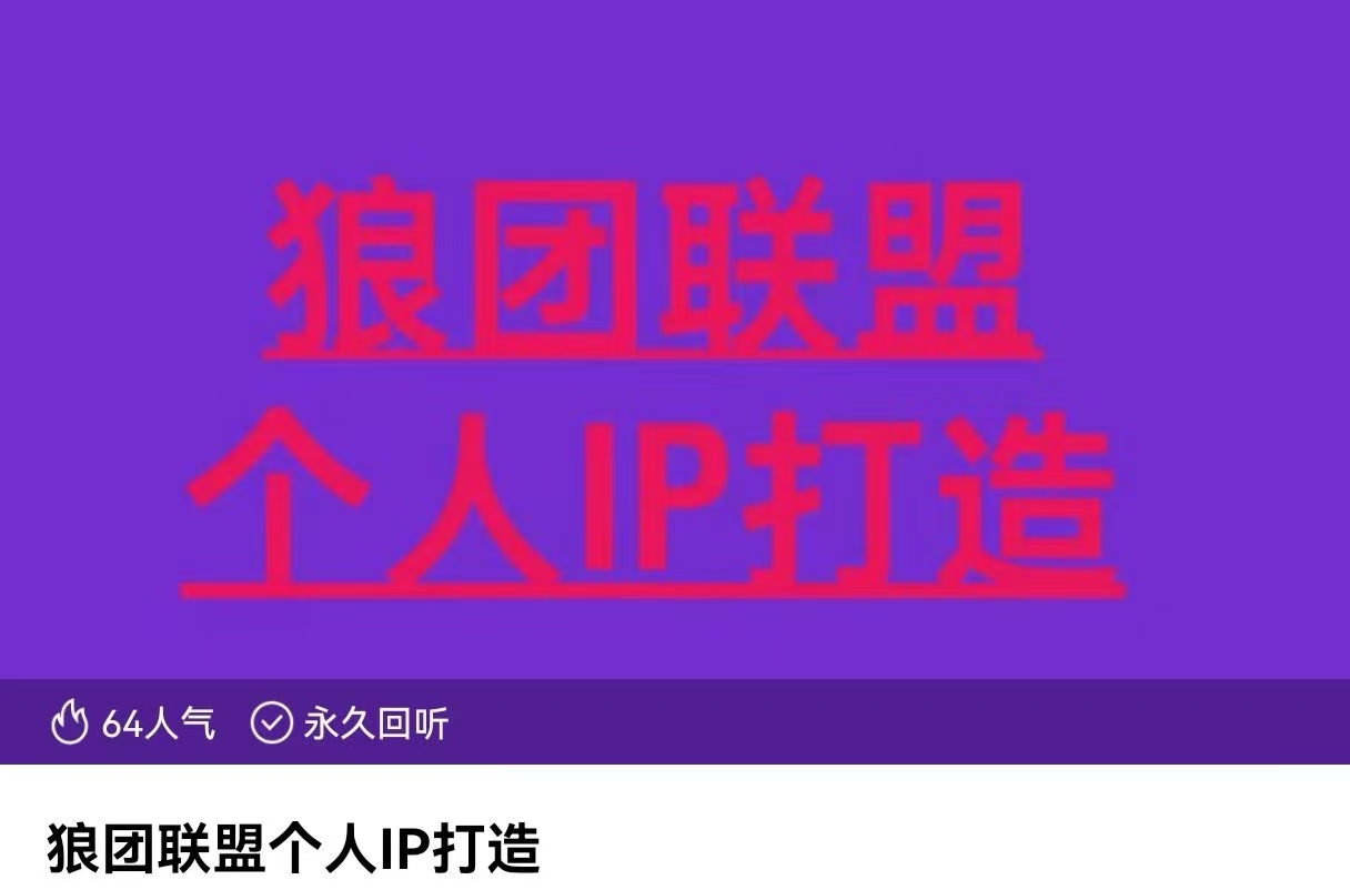 狼團聯盟個人IP打造，個人IP變現全攻略：私域運營,微信技巧,公眾號運營插圖